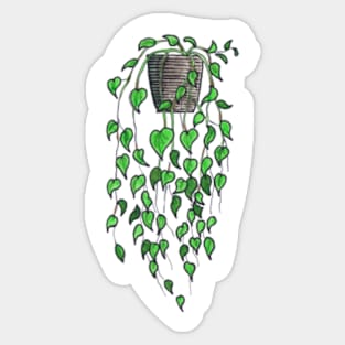 Peperomia - Houseplant Watercolour #3 Sticker